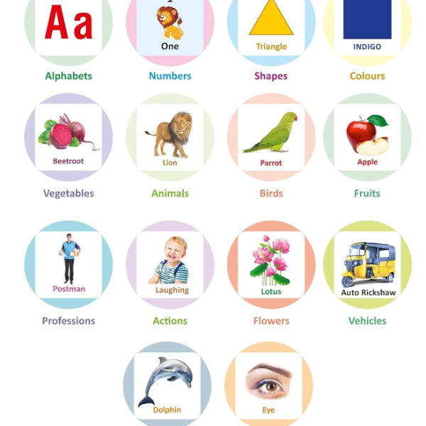 gurukanth All in One Flash Cards for Kids (Non-Tearable flashcards - Water Proof) (Multicolor)